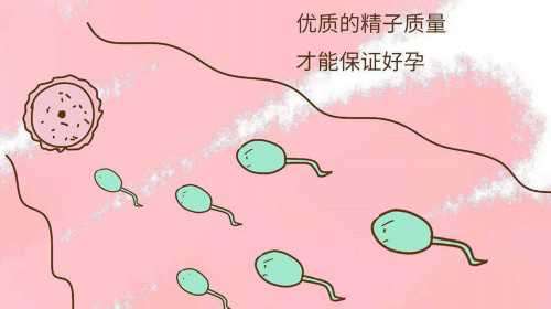 武汉私立试管婴儿医院(在武汉省人民医院做试管)