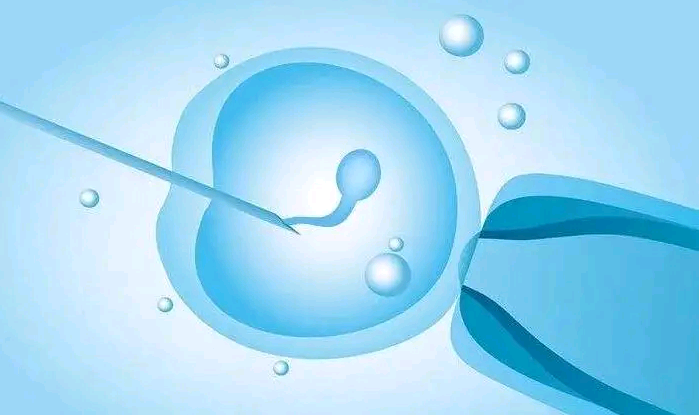 武汉助孕机构是哪里的,子宫腺肌症武汉哪个医院好,2023武汉第三代试管婴儿哪里