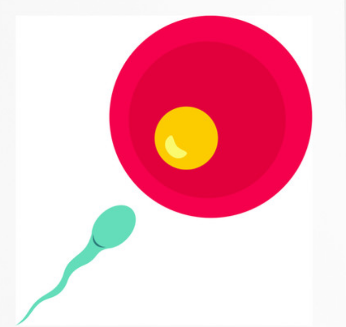 武汉捐卵代孕医院,武汉同济医院-武汉试管婴儿收费标准