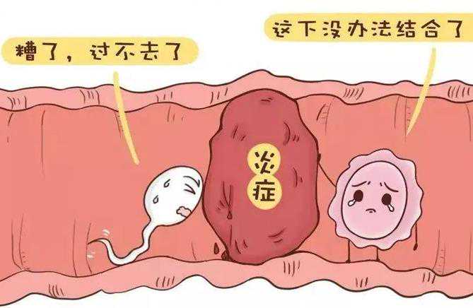 2023上海三代试管借卵代怀生男孩单周费用明细一览：第三方助孕价格明细一览