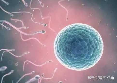 武汉无子宫供卵机构,2023武汉助孕机构排名正式公布，这家医院连续3年位居榜首