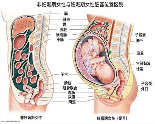 哺乳期例假不正常怎么判断是否北京代孕吗，哺
