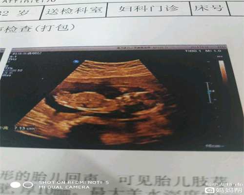 寻求+武汉大学生+代孕_武汉最大的供卵机构_育婴