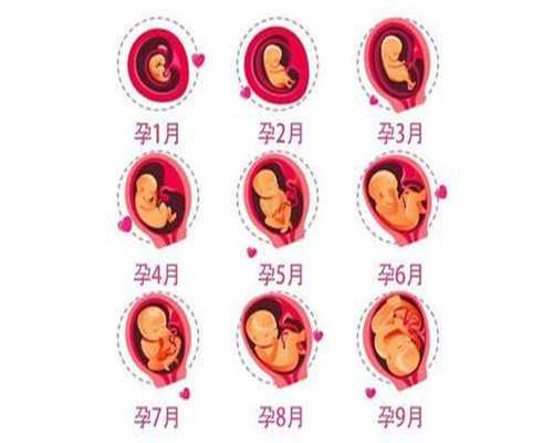 武汉代孕机构靠不靠谱：武汉高鹰代孕中心供卵：影响女性怀孕的因素有哪些？