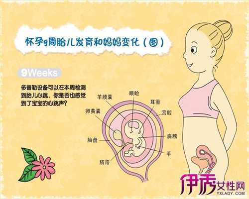 武汉孕宝代孕公司：武汉捐卵公：宝宝出生头着地骨折，二胎妈妈必备孕产手册