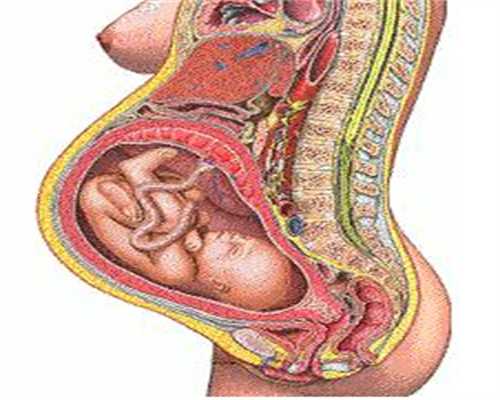武汉助孕借卵成功率高：宫腔粘连手术后多久可以同房