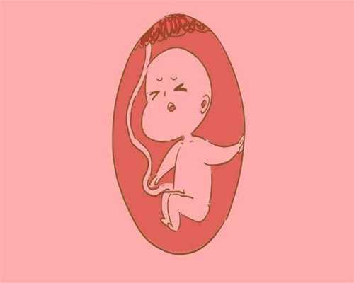 武汉代生孩子费用多少：武汉有助孕公司吗：1617685085243
