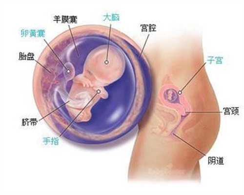 武汉“代孕妈妈”流产未获补偿：1617676621438