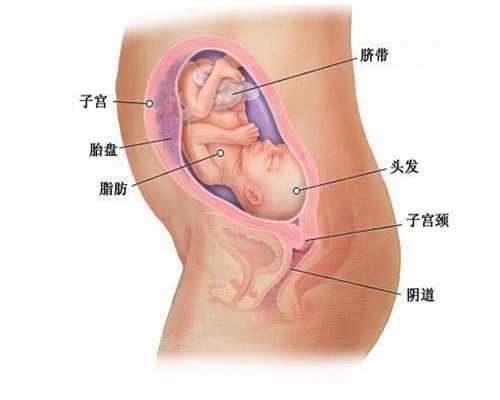 广州捐卵机构武汉尚德标杆：武汉代孕之家：1617686696020
