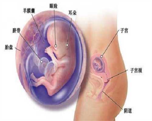 广州捐卵机构武汉尚德询问：武汉AA69代孕网怀孕妈妈：八岁小孩牙齿痛正常吗