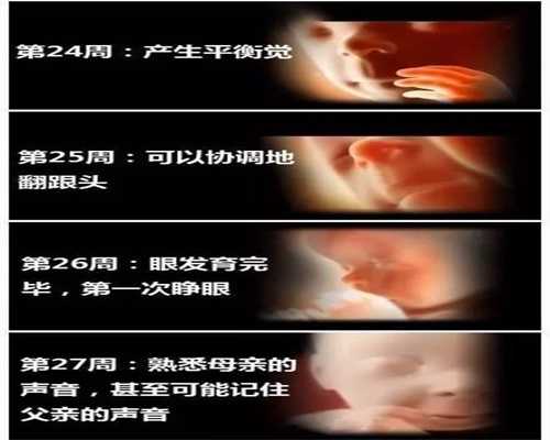 武汉海孕国际试管助孕中心：武汉三代试管助孕：九个月的宝宝能不能吃木瓜