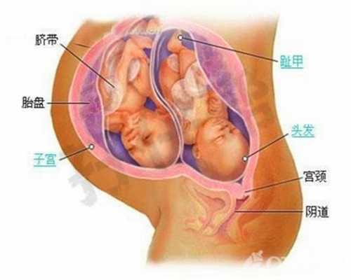 武汉代孕要求：新生儿不能硬掰手指吗