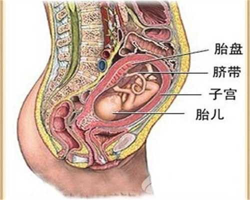 武汉借卵代怀：武汉代生男孩医生咨询：怀孕腹痛是在哪个部位