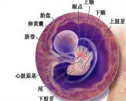 武汉代孕哪个国家是合法的_武汉第三代代孕成功率