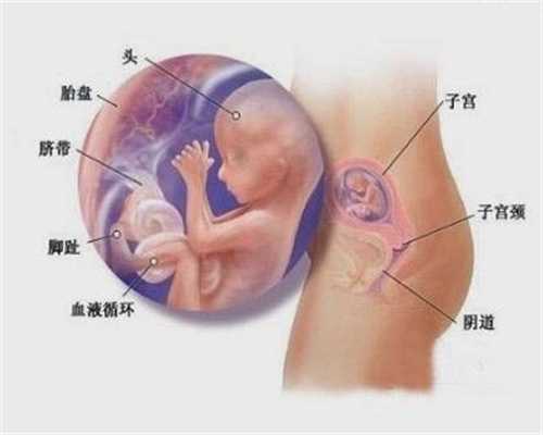 武汉试管婴儿代孕会遗传吗_武汉代孕在哪里有