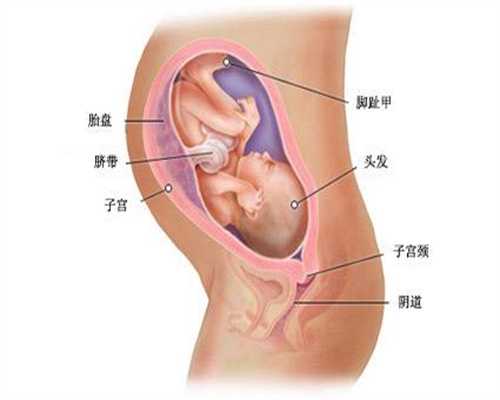 武汉最好的代孕机构排名_武汉代孕生孩子多少钱