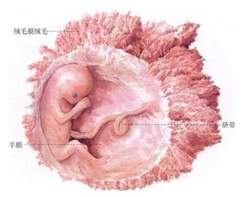 武汉代孕龙凤胎包成功多少钱_武汉做代孕的过程
