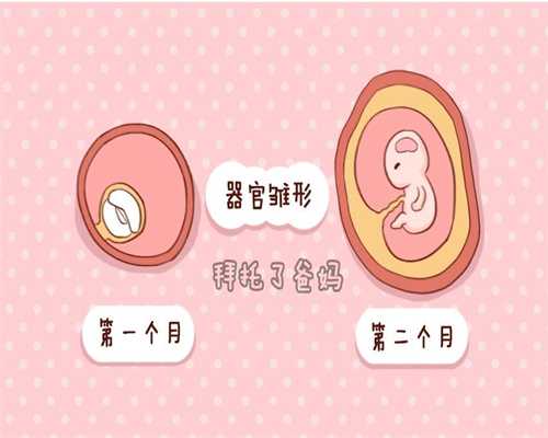 武汉国内那里有代孕_武汉公立医院供卵要等多久