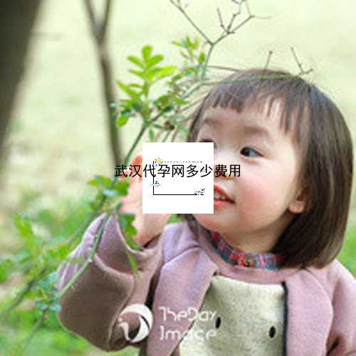 武汉代孕产子公司标准|GNU76_健康周刊地贫父母可孕育健康宝宝_q0EBm_i6261_GN0BW_