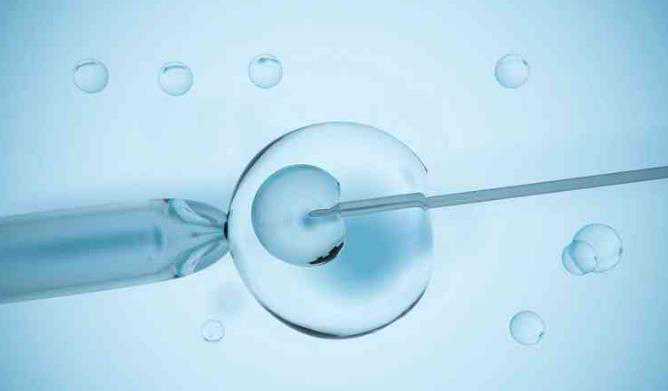 武汉春晖助孕 武汉协和医院做供卵试管的条件 ‘肚型免费看男女’