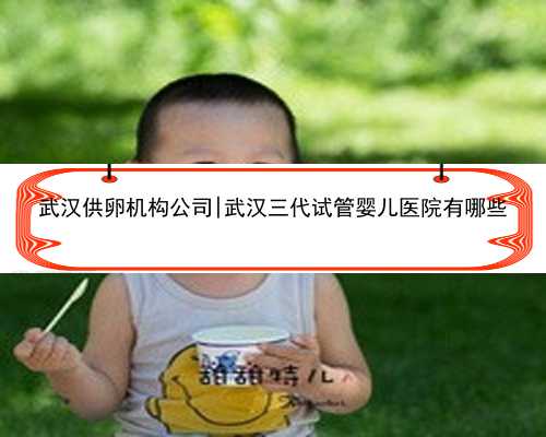 武汉供卵机构公司|武汉三代试管婴儿医院有哪些