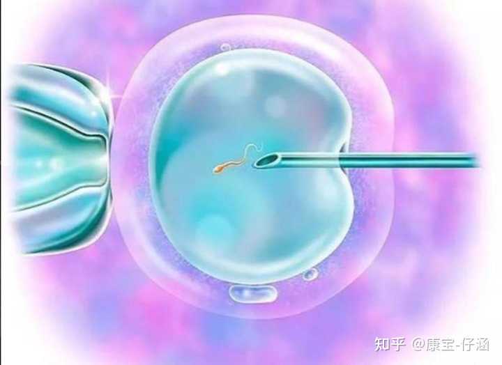 武汉无子宫供卵机构,2023武汉助孕机构排名正式公布，这家医院连续3年位居榜首